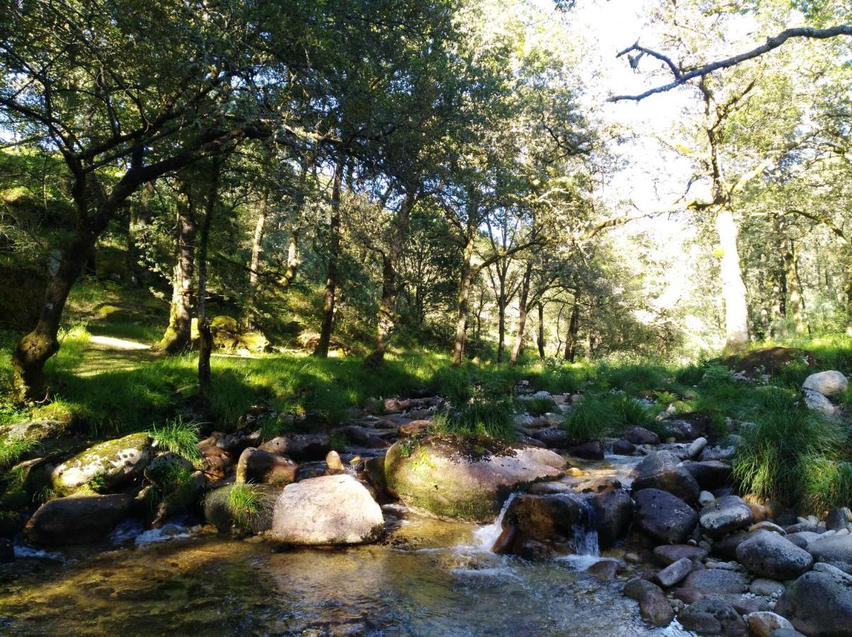 O Xardin Da Fraga Villa San Salvador Kültér fotó
